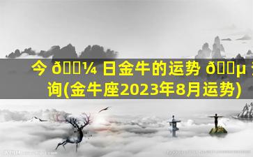 今 🌼 日金牛的运势 🌵 查询(金牛座2023年8月运势)